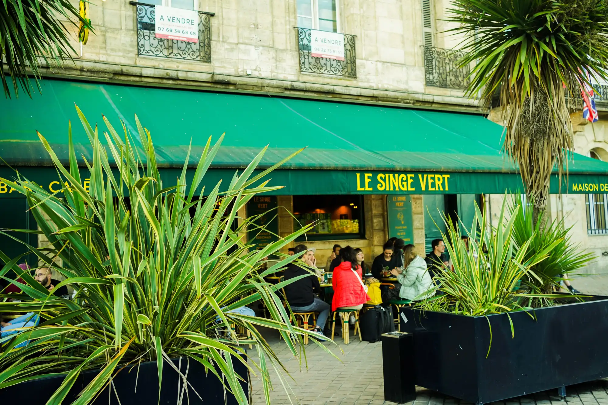 Terrasse du bar Le Singe Vert